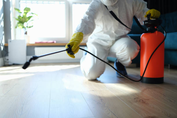 Reliable East Douglas, MA Pest Control Solutions