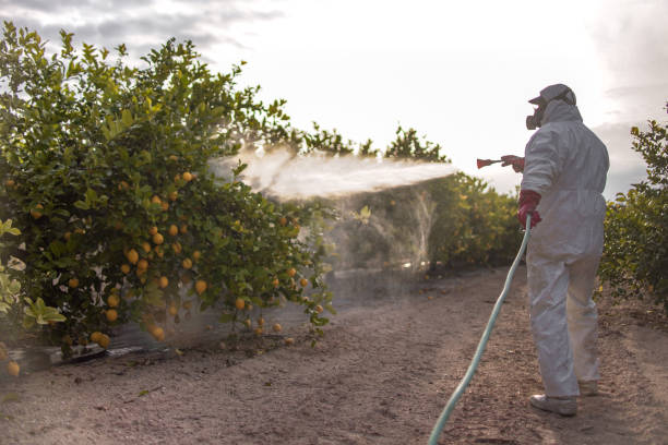 Best Pest Removal Services  in East Douglas, MA