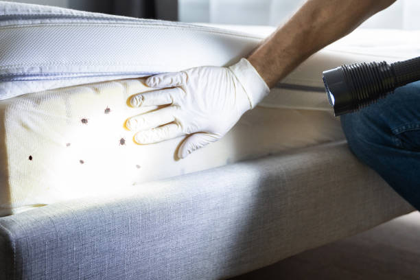 Best Pest Control Near Me  in East Douglas, MA