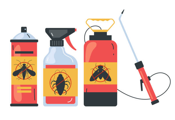 Best Insect Control  in East Douglas, MA