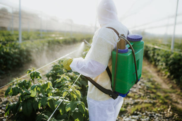 Best Commercial Pest Control Services  in East Douglas, MA
